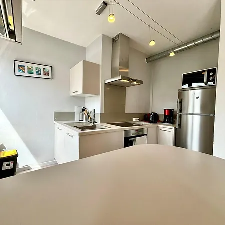: Grand F2 Lumineux Au Centre, Ideal 2-4 Pers. - Fr-1-432-28 Apartment Annecy